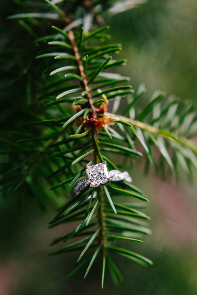Morrison engagement session, Mount Falcon Park Engagement session, Engagement Ring photo, Engagement ring on tree