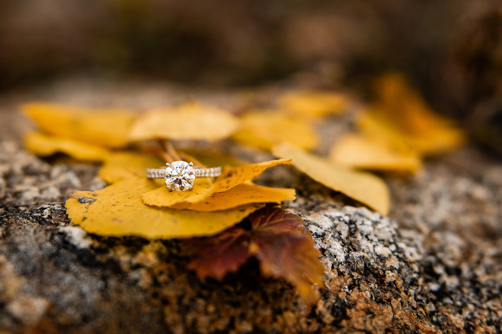 Colorado Wedding Videographer, Colorado Springs Wedding Videographer, Colorado Wedding Videography