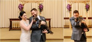 Wedgewood Black Forest, Wedgewood Black Forest wedding, Wedgewood Black Forest wedding ceremony, Wedgewood Black Forest bride and groom, Wedgewood Black Forest couple, Wedgewood Black Forest bride and groom with dog, bride and groom with dog, wedding dogs