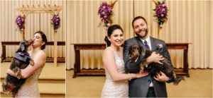 Wedgewood Black Forest, Wedgewood Black Forest wedding, Wedgewood Black Forest wedding ceremony, Wedgewood Black Forest bride and groom, Wedgewood Black Forest couple, Wedgewood Black Forest bride and groom with dog, bride and groom with dog, wedding dogs
